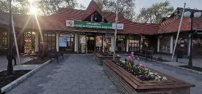 Cserkeszőlői strandfürdő 1