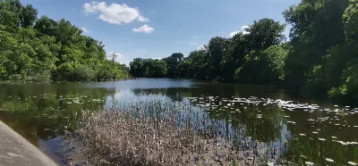Tőserdei látnivalók 1