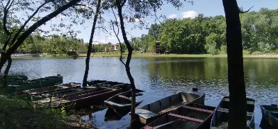 Tőserdei látnivalók 4